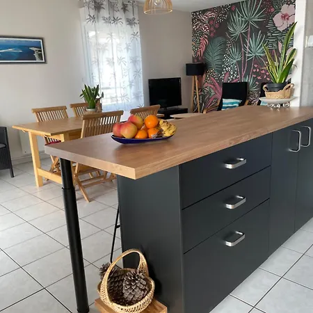 Appartement Oceanis Face Ocean Biscarrosse-Plage