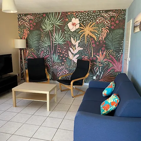 Apartment Oceanis Face Ocean Biscarrosse-Plage